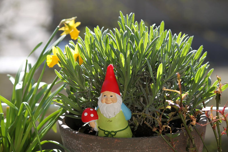 6 gnomes juin_2