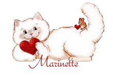 petit chat blanc coeur rouge