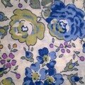 felicite bleu