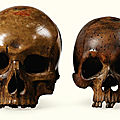 Deux crânes en bois sculpté, Allemagne XVIIe-XVIIIe siècle