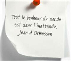 190 Jean D Ormesson Des Dessins Au Gre De Mes Envies Pascale Lbv
