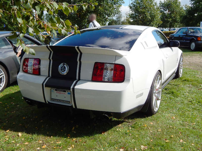 ShelbySuperSnakeGT500ar1