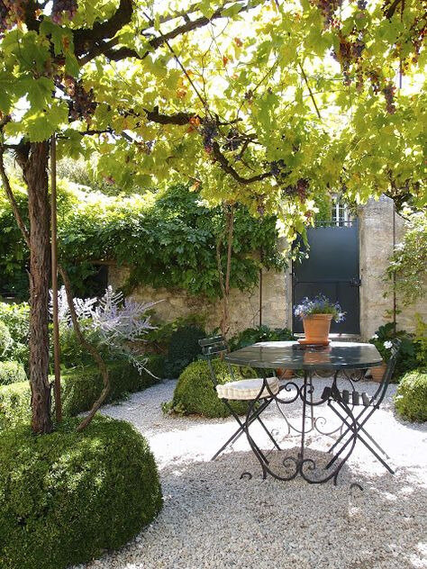 cour interieures petits espaces cosy idees maison maison et travaux photos (4)