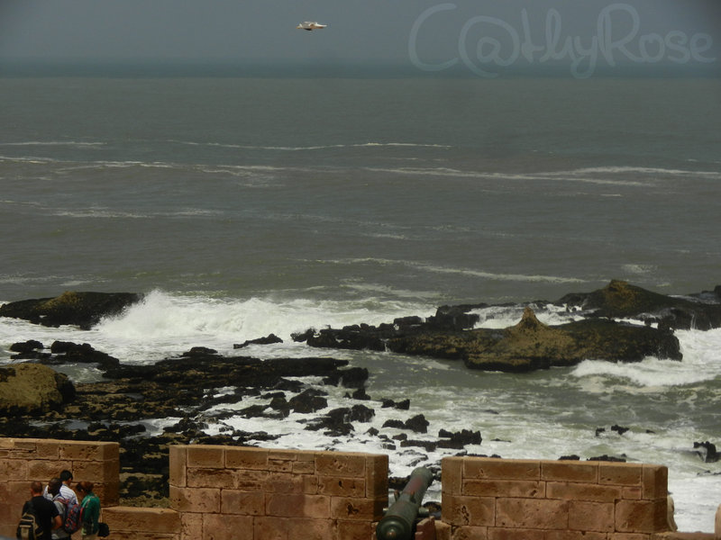 Essaouira (17)