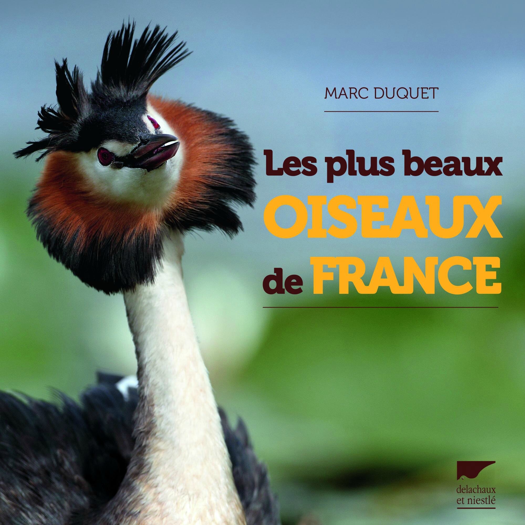 Les oiseaux sauvages et domestiques, de France et d'ailleurs added