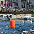 IMG_0008 - Copie