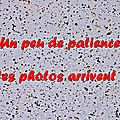 Z-9857 Saint-Omer le 11 juin 2014