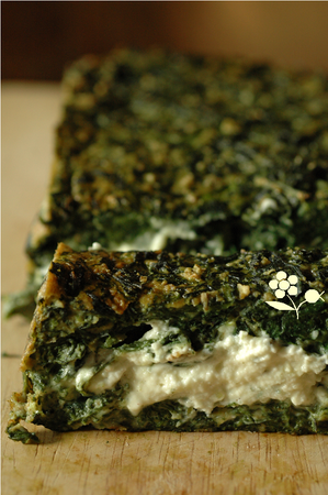 Terrine__pinards__fanes_radis__son_d_avoine__fromage_frais_ail_et_fine_herbes_3
