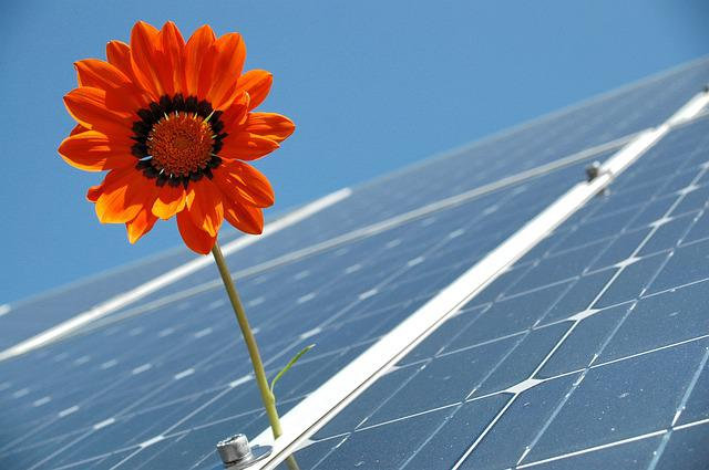des panneaux solaires produisant de l’énergie verte
