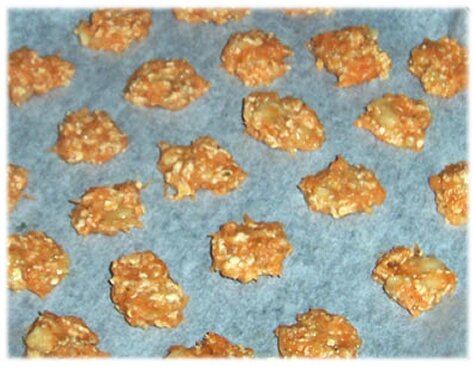 biscuitlapin (1)