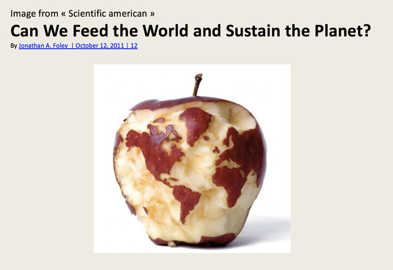 photo feed the world