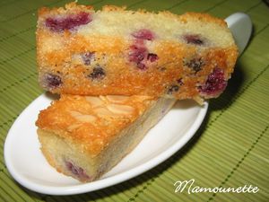 Financiers_aux_m_res_sauvages_du_jardin_et_aux_amandes_effil_es_028