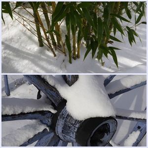 D'1 jour à l'autre (32)