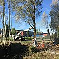IMG_0500