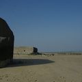_IGP2422