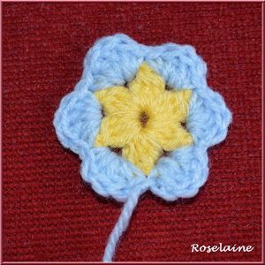 Roselaine438