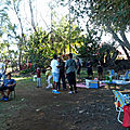 P1300368 (Copier)