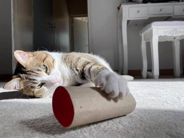 chat