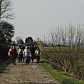 IMGP4567