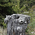P1010996 (2)