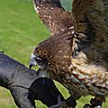 Elfics_2015_dimanche (92)