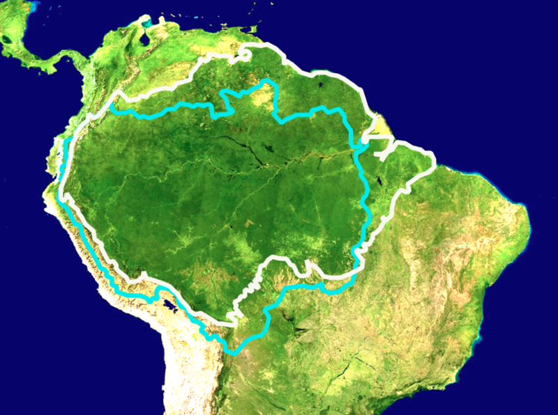 Carte géographique des écorégions de la forêt amazonienne délimitées par le WWF