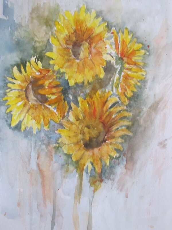 Essai Tournesol n°1