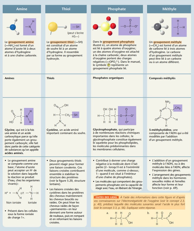 groupements chimiques 2