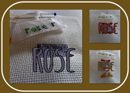 rose_salsept19_col1