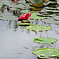 DSCN0368