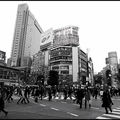 119_Shibuya_Crossing_2