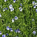 IMG_2546