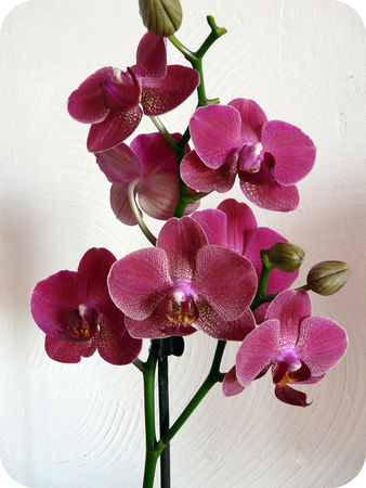 P1100063