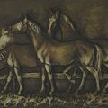 chevaux