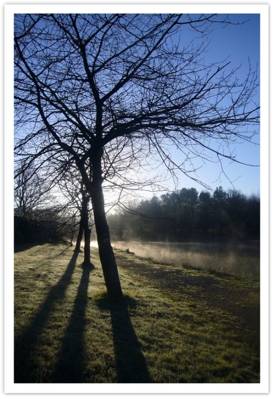 contre_jour
