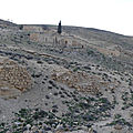 P1000701