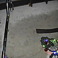_DSC0047