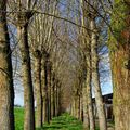_IGP9235