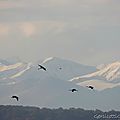 DSCN0807