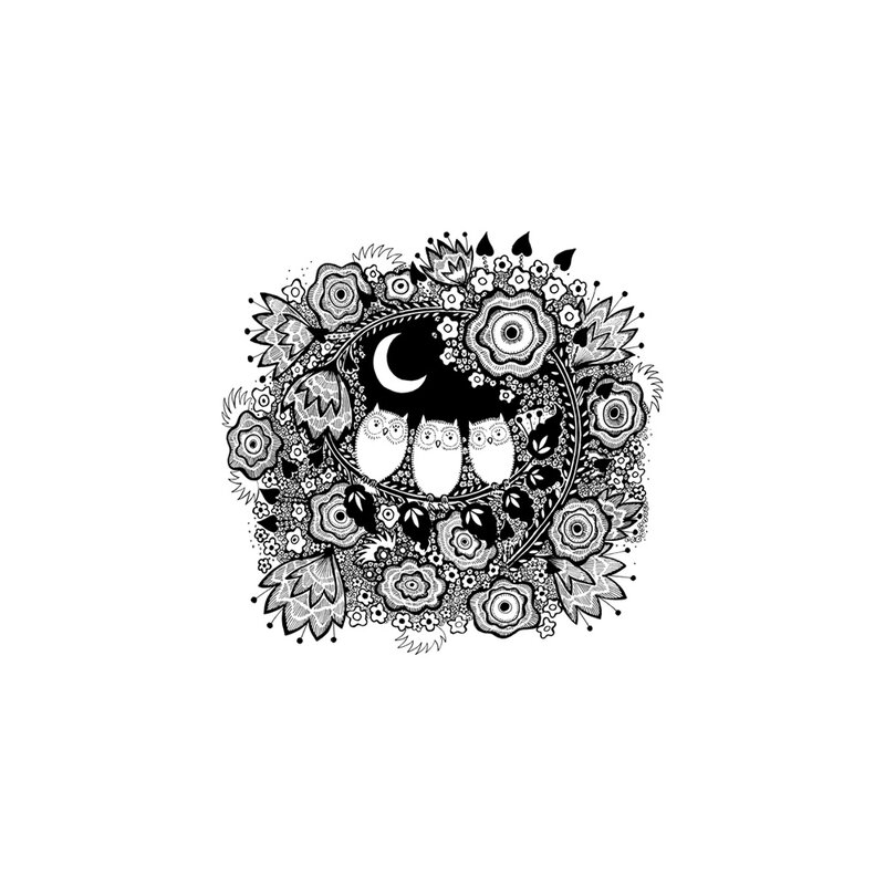 CI-442 LITTLE OWLETS