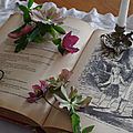 29-mars 2021 des livres et des fleurs (2)