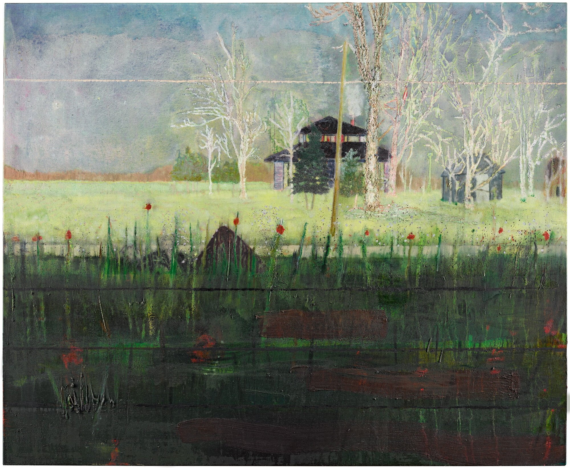 Image result for daytime astronomy peter doig