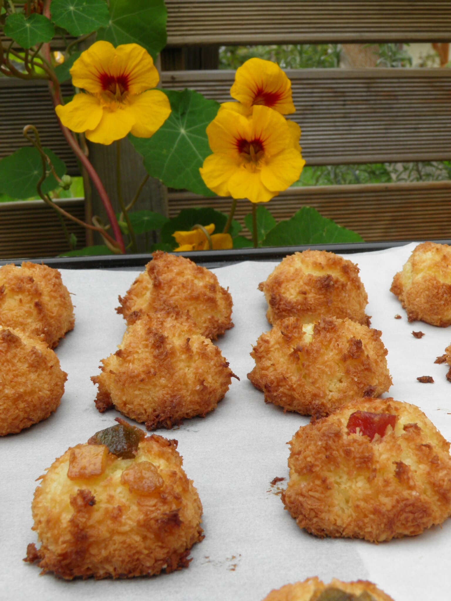 Dessert Rochers A La Noix De Coco Facon Portugaise Bolinhos De Coco Terre Et Mar