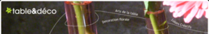50474033