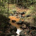 eau ferrugineuse à Ternant-les-Eaux