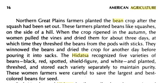 american-agriculture-hidatsa-bean
