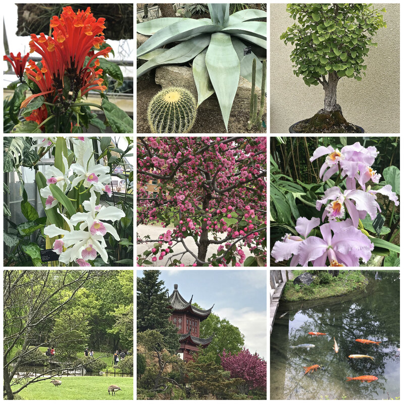 jardin botanique - Montréal