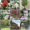jardin botanique