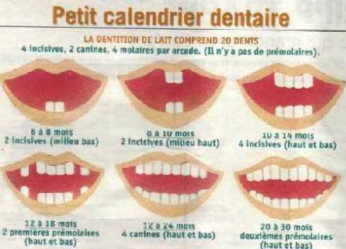 Les Dents L Arnaque Mamanquidechire