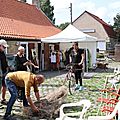 IMG_4390